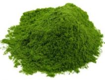 Spinach Powder