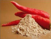 Carrot Dried Powder