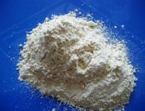 Garlic Dried Powder