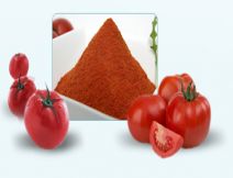 Tomato Dried Powder